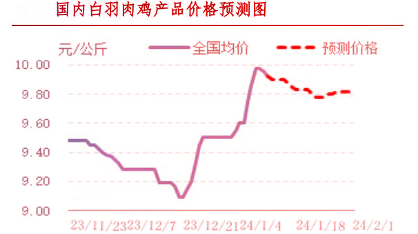 肉雞市場(chǎng)行情匯總