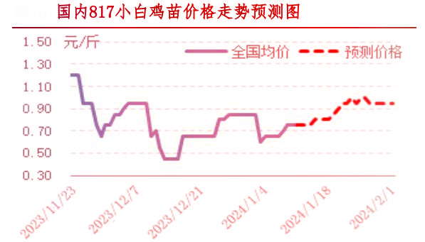 肉雞市場(chǎng)行情匯總
