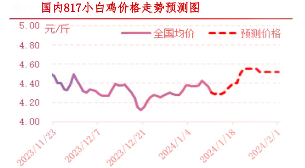 肉雞市場(chǎng)行情匯總