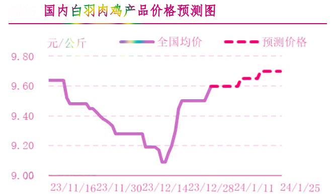 肉雞市場行情匯總