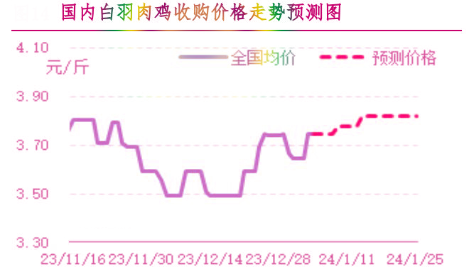 肉雞市場行情匯總
