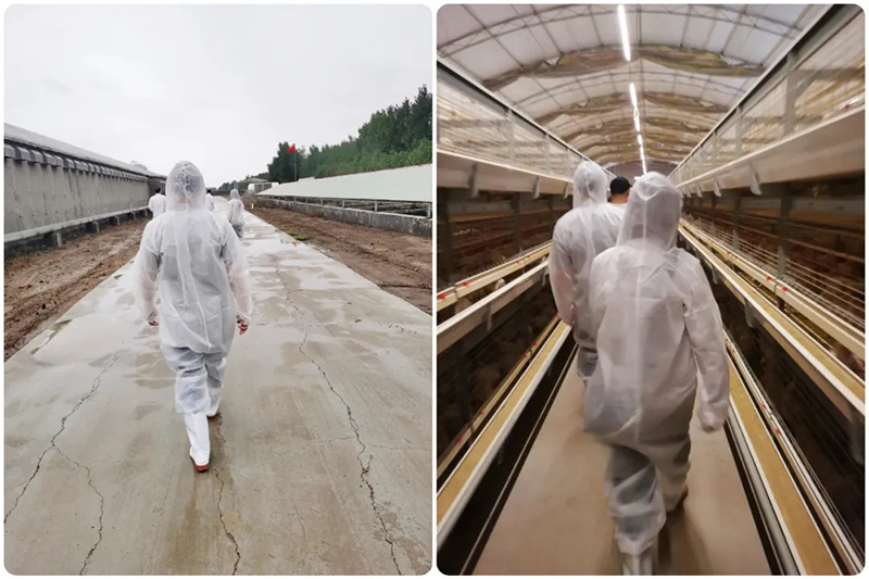 熱烈歡迎泰國客戶蒞臨潤達生物參觀考察