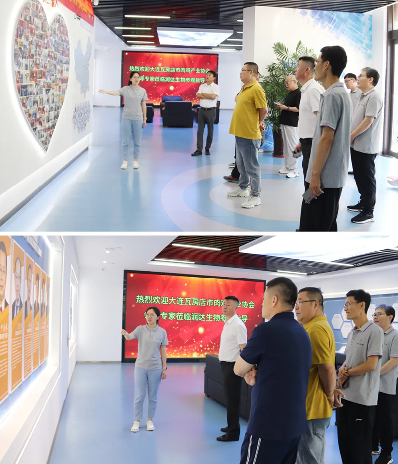熱烈歡迎大連瓦房店市人民政府及農(nóng)業(yè)農(nóng)村局、肉雞產(chǎn)業(yè)協(xié)會(huì)領(lǐng)導(dǎo)一行蒞臨潤(rùn)達(dá)生物參觀指導(dǎo)！