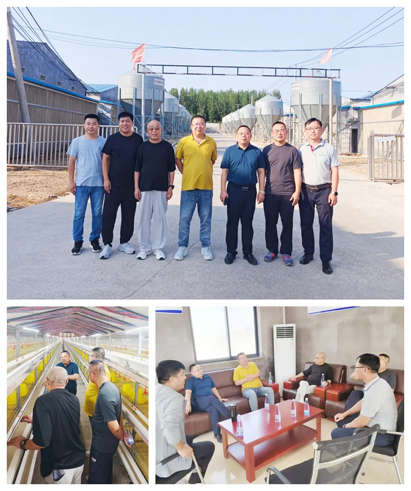 熱烈歡迎大連瓦房店市人民政府及農(nóng)業(yè)農(nóng)村局、肉雞產(chǎn)業(yè)協(xié)會(huì)領(lǐng)導(dǎo)一行蒞臨潤(rùn)達(dá)生物參觀指導(dǎo)！